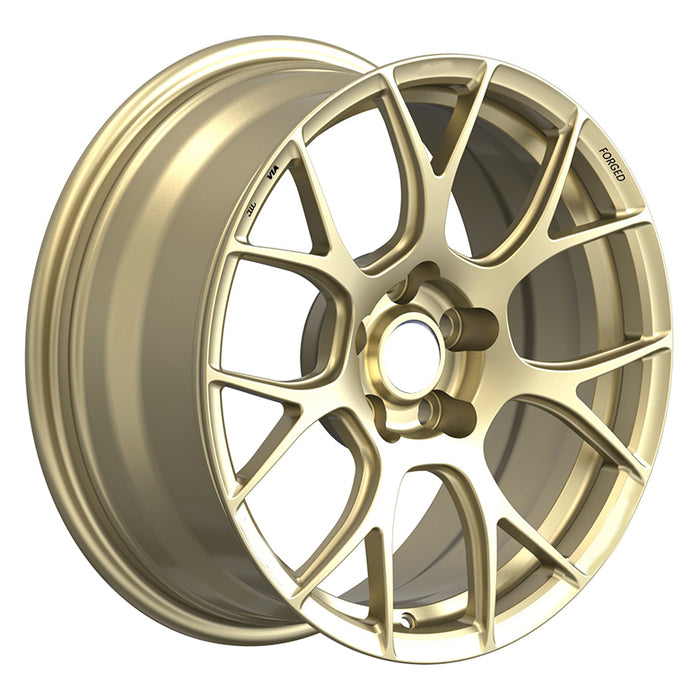 GV-M10 Forged